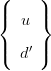 (     )
|{  u  |}

|(  d′ |)